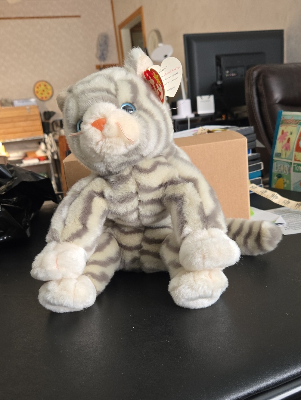 Ty Grey and White Named Silver. - Picture 4 of 5